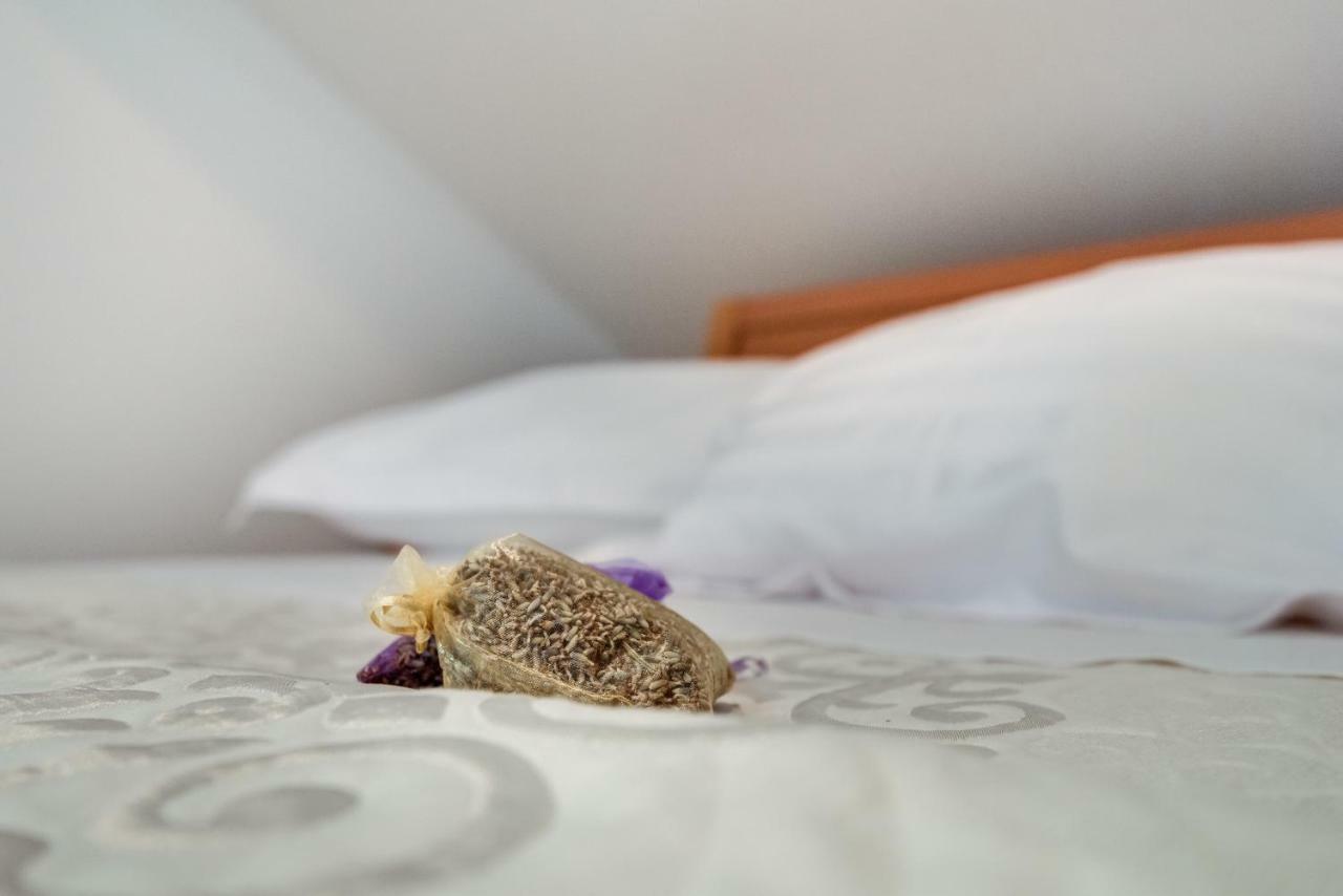 Appartamento Studio Maslina Šibenik Esterno foto